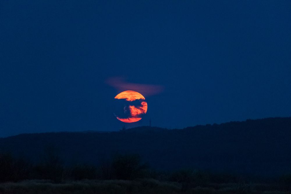 Photograph by Irina Luidinshina