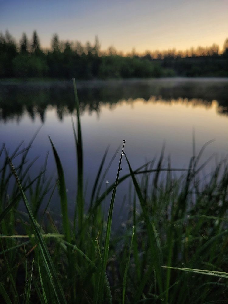 Photograph by Елена Иванова