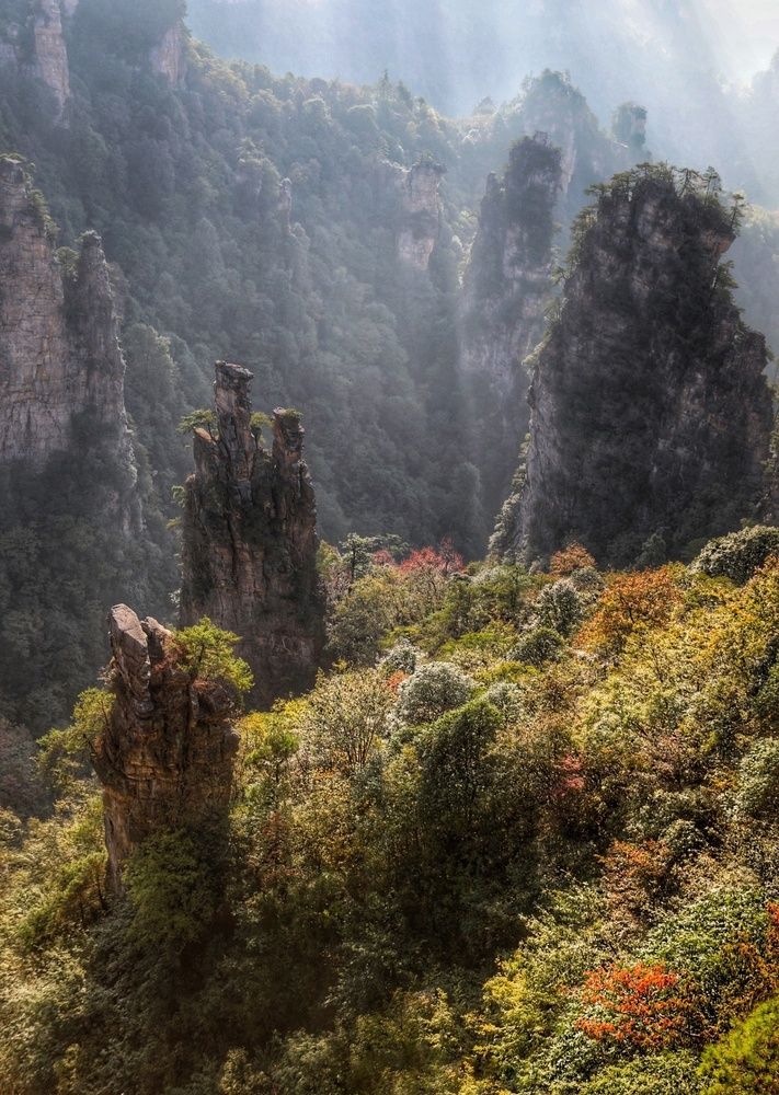 Photograph by Halina Lamaka