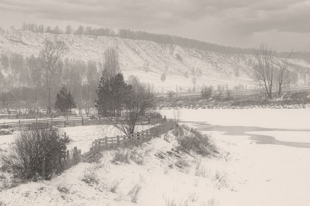 Photograph by Зифа Мингалимова