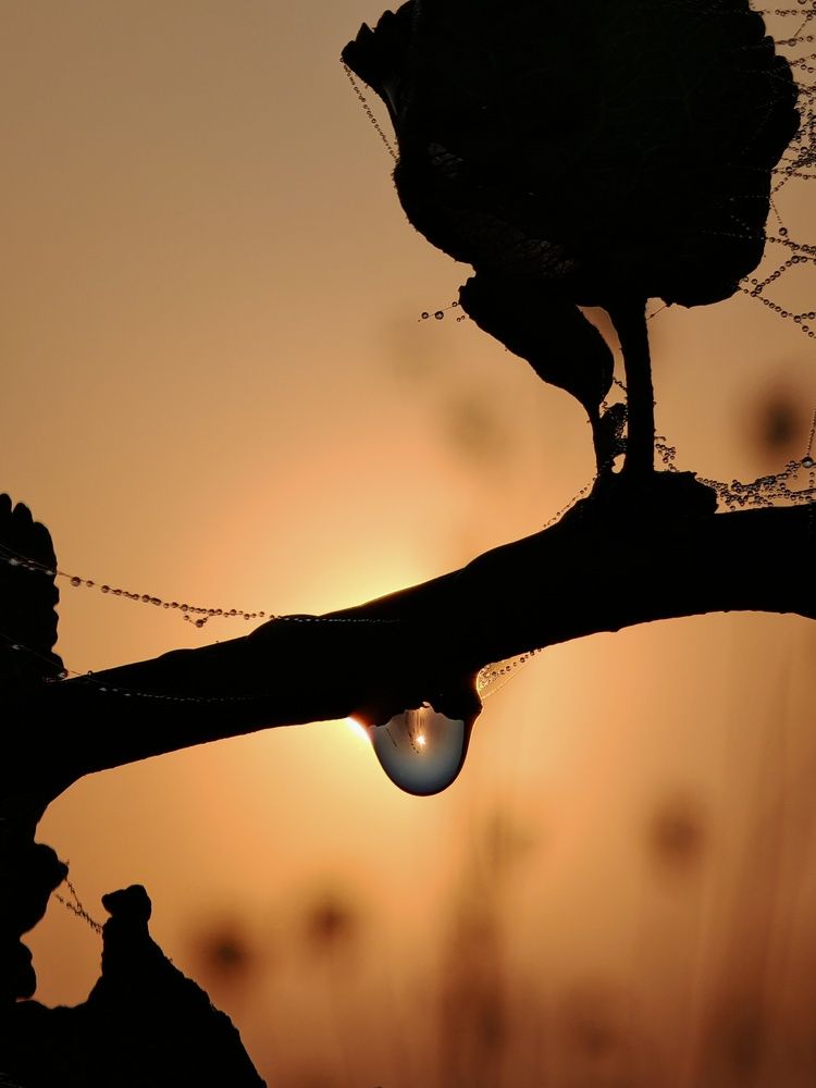 Фотография автора Юлия Шидловская