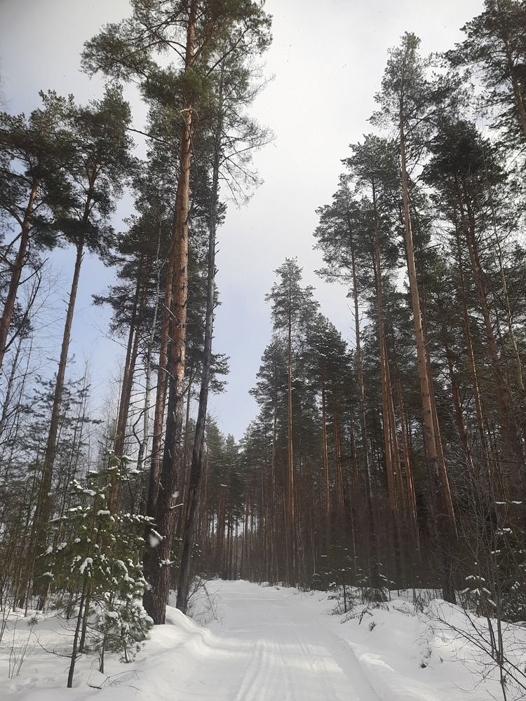 Photograph by Анна Ершова