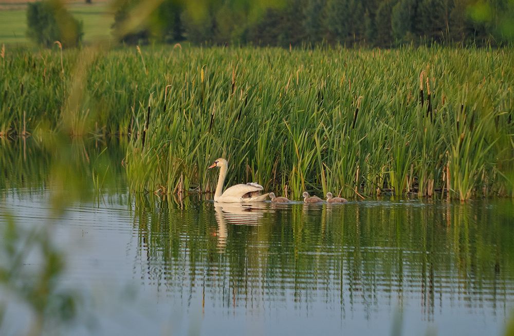 Фотография автора Дмитрий Герасимов