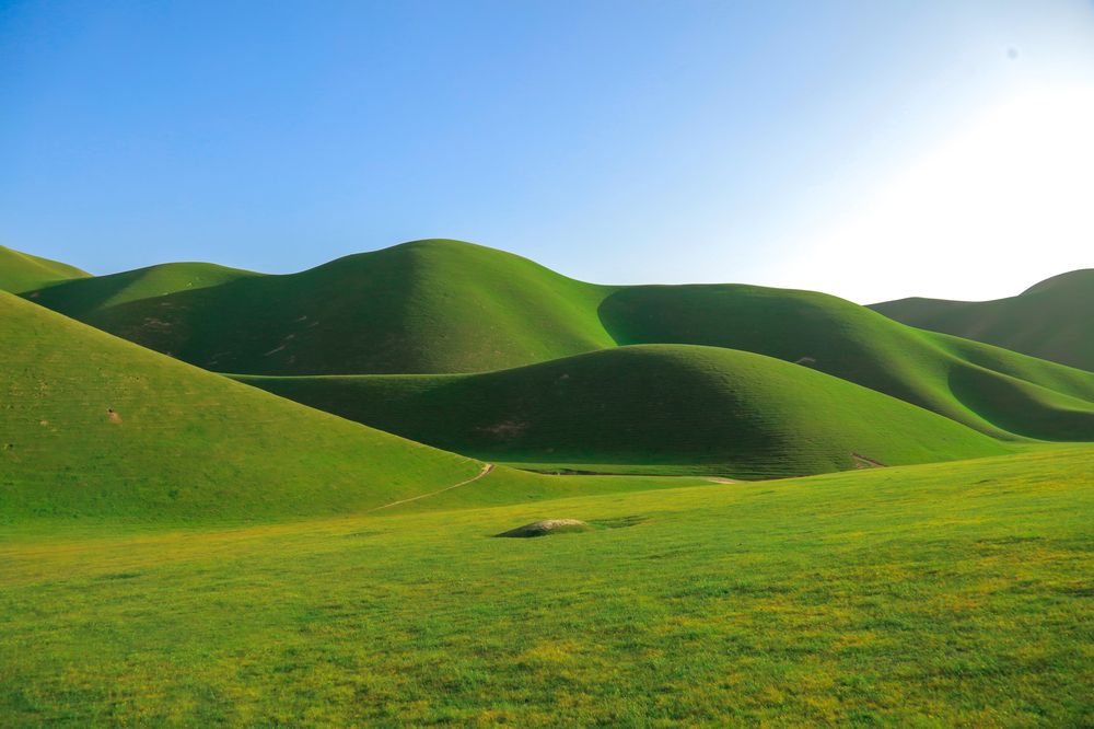 Photograph by Abdul Ali Afghan