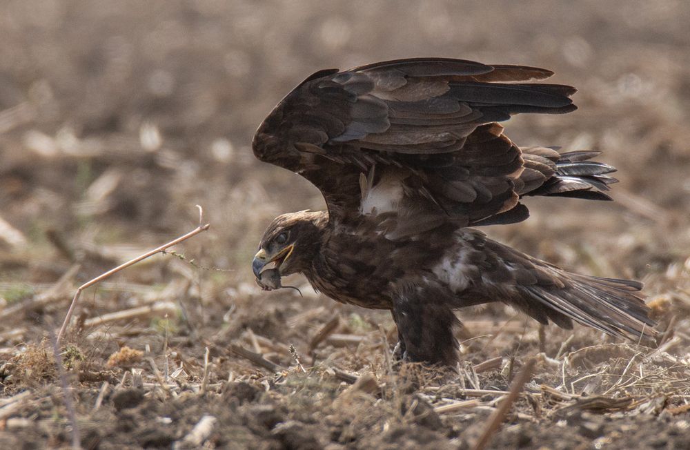 Photograph by Николай Абрамов