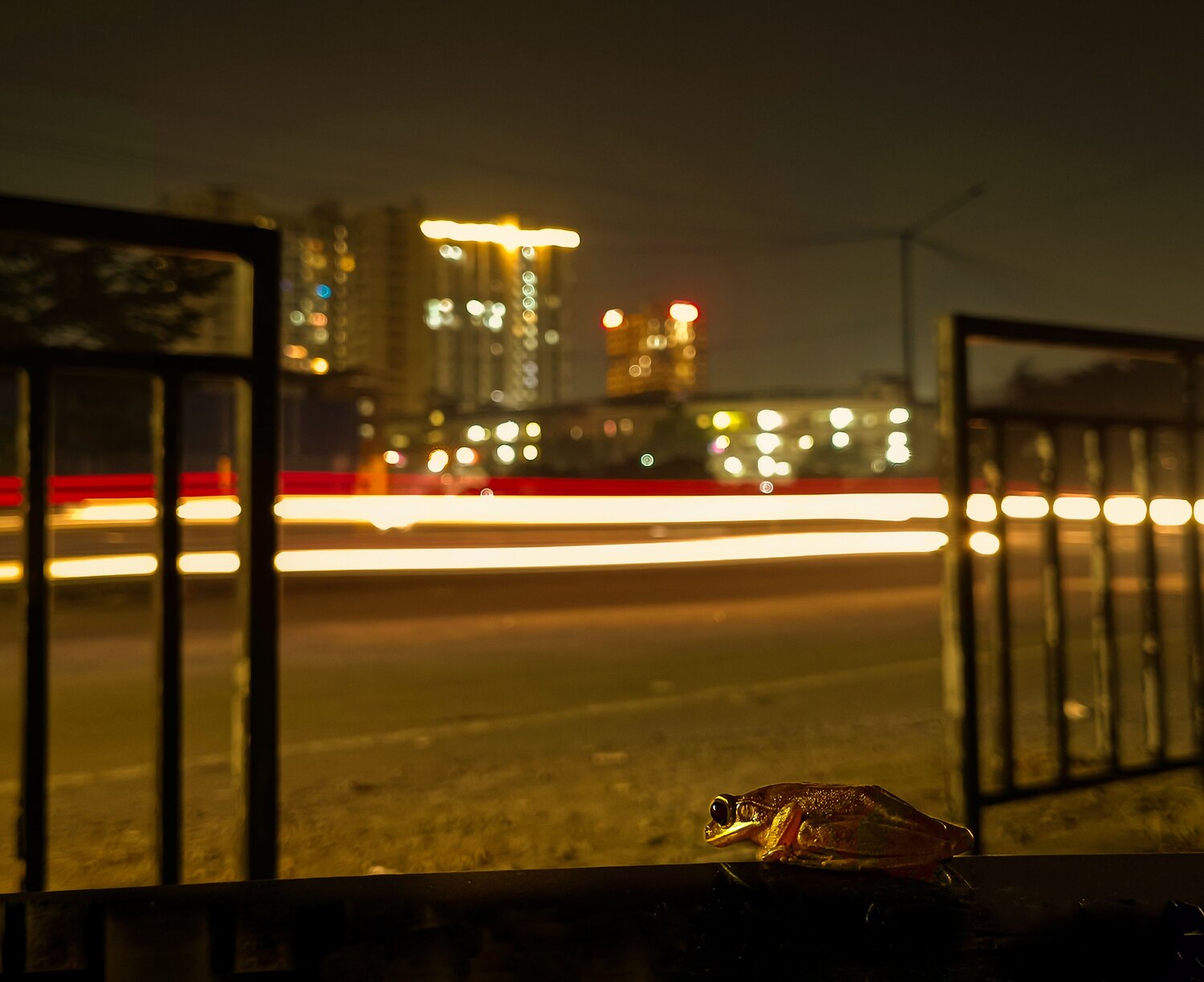 Photo #11947458