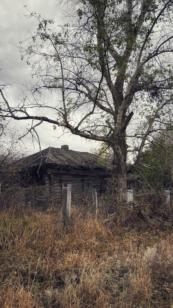 Photograph by Наталья Простова