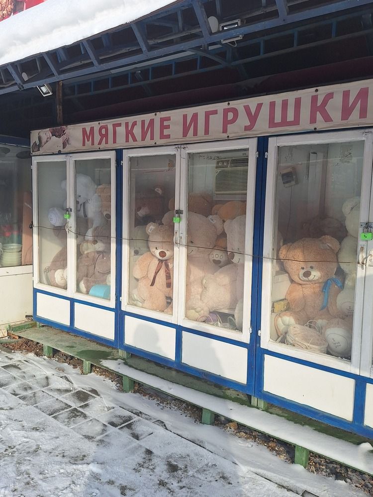 Photograph by Полина Мумряева