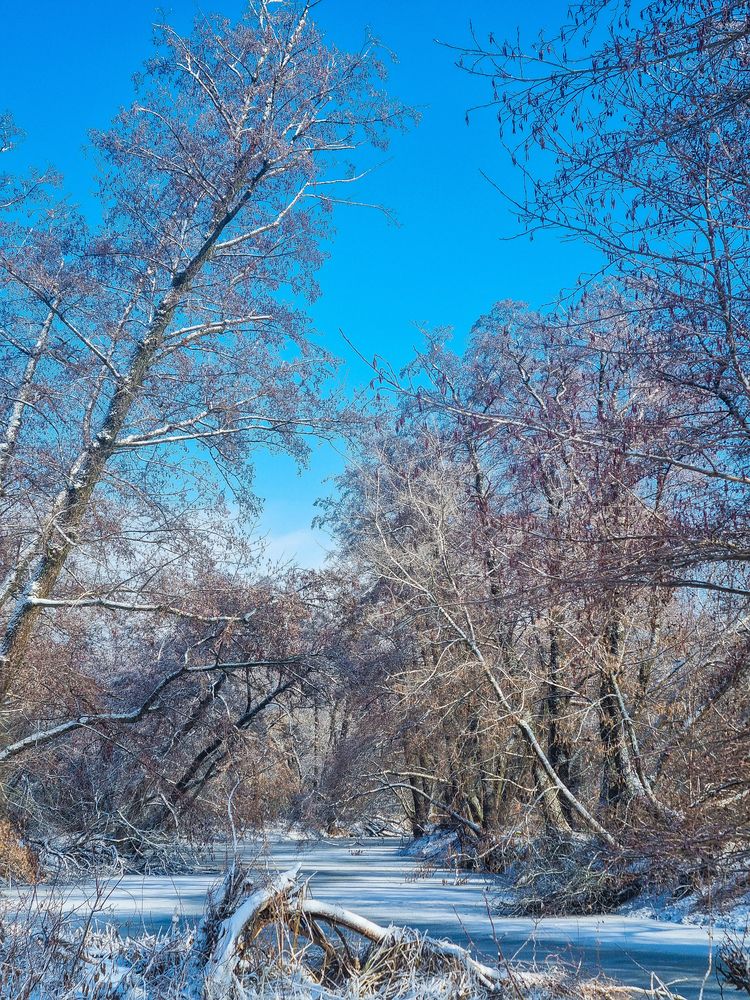 Photograph by Ирина Герлин