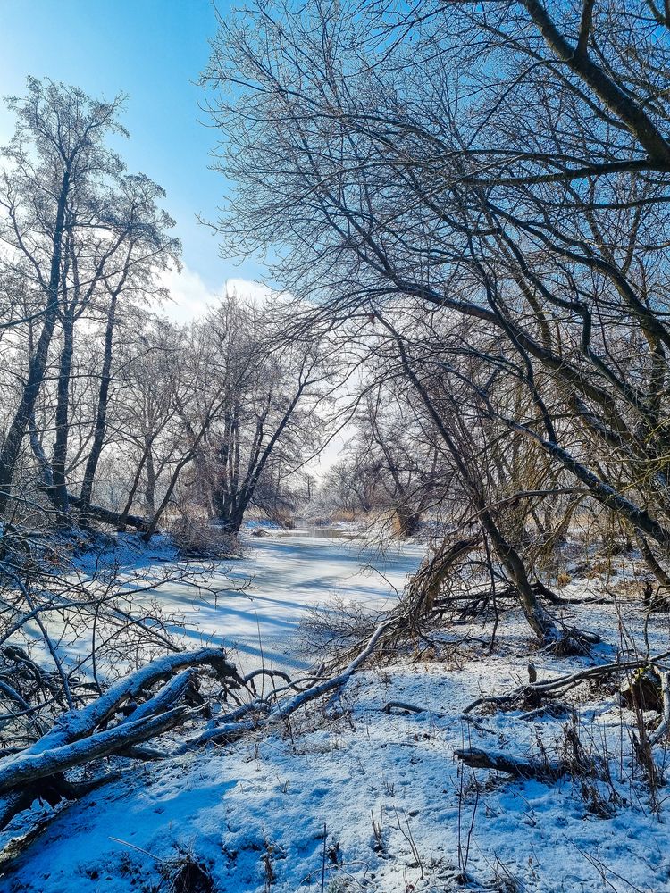 Photograph by Ирина Герлин