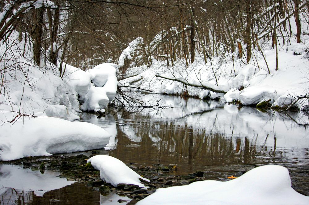 Фотография автора Ser P