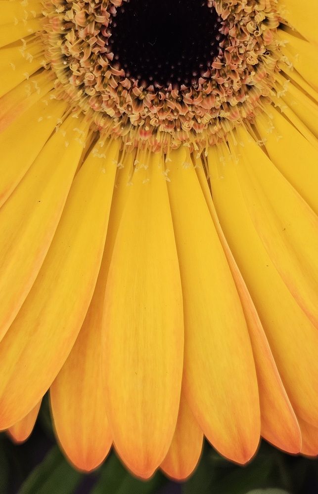 Photograph by Ольга Мандрыкина