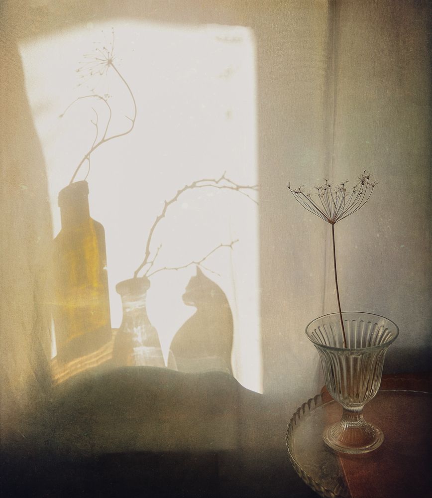 Photograph by Александр Хромеев