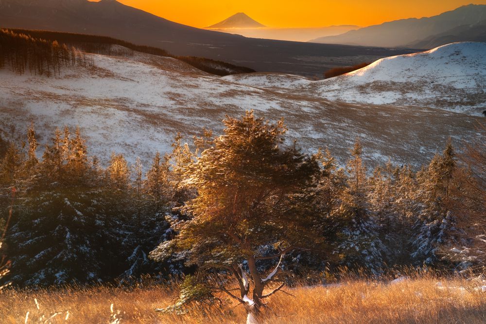 Фотография автора Luong Quyen