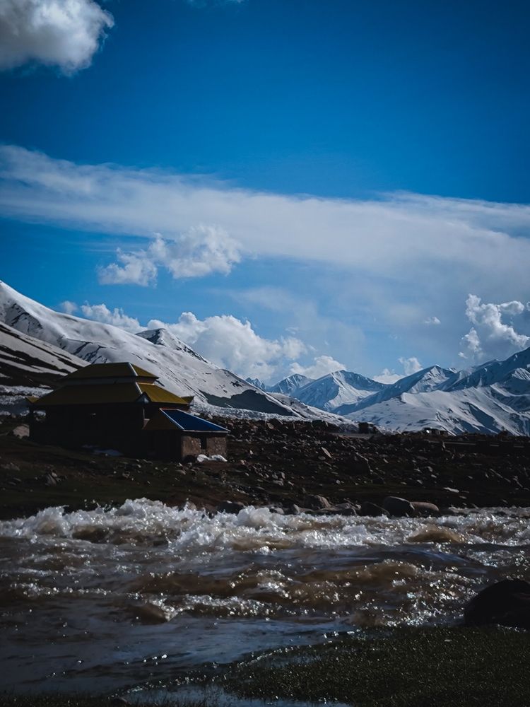 Photo #11947555