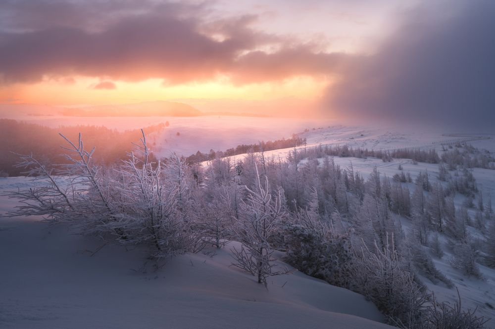 Photograph by Kaneko Atsushi