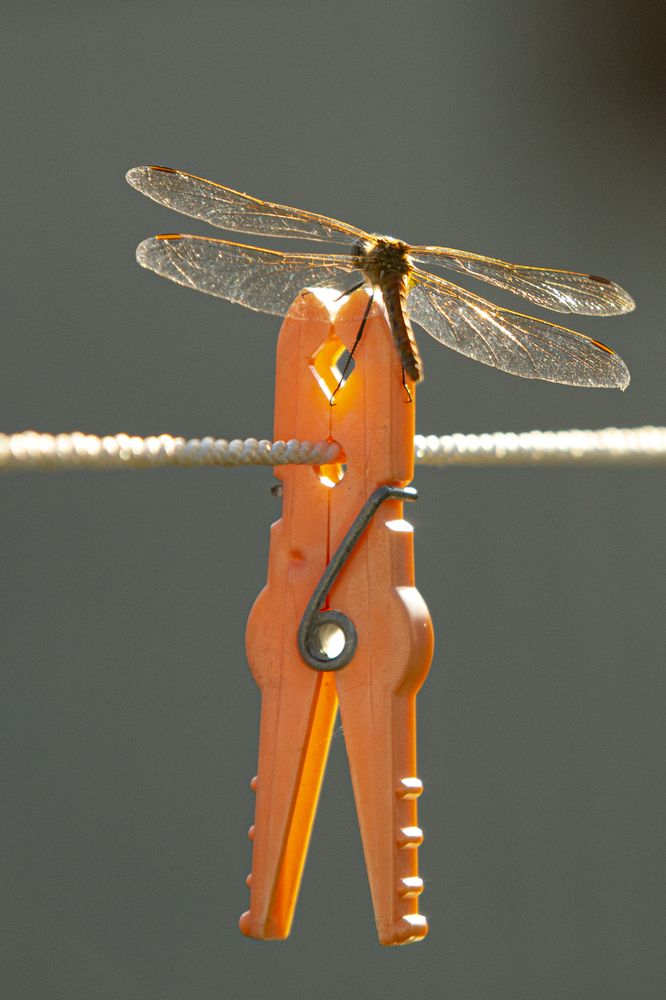 Photograph by Артём Скороделов