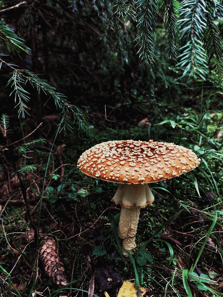 Photograph by Ксения Цветкова