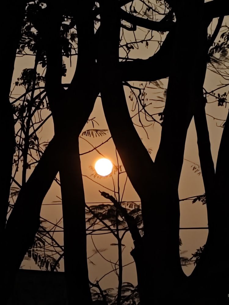Photograph by ABHIJITHESH KS