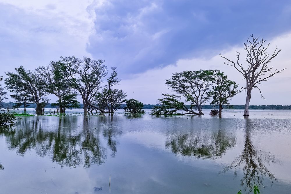 Reflection — where sky, water, and land merge as one