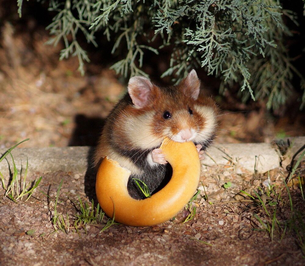 Photograph by Наталья Степаненко