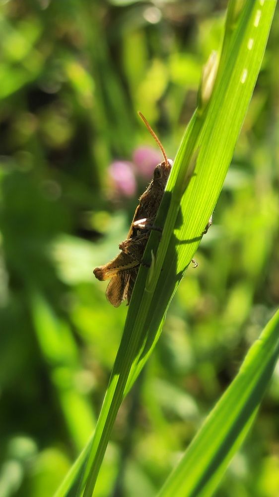 Фотография автора Ольга Быстрова