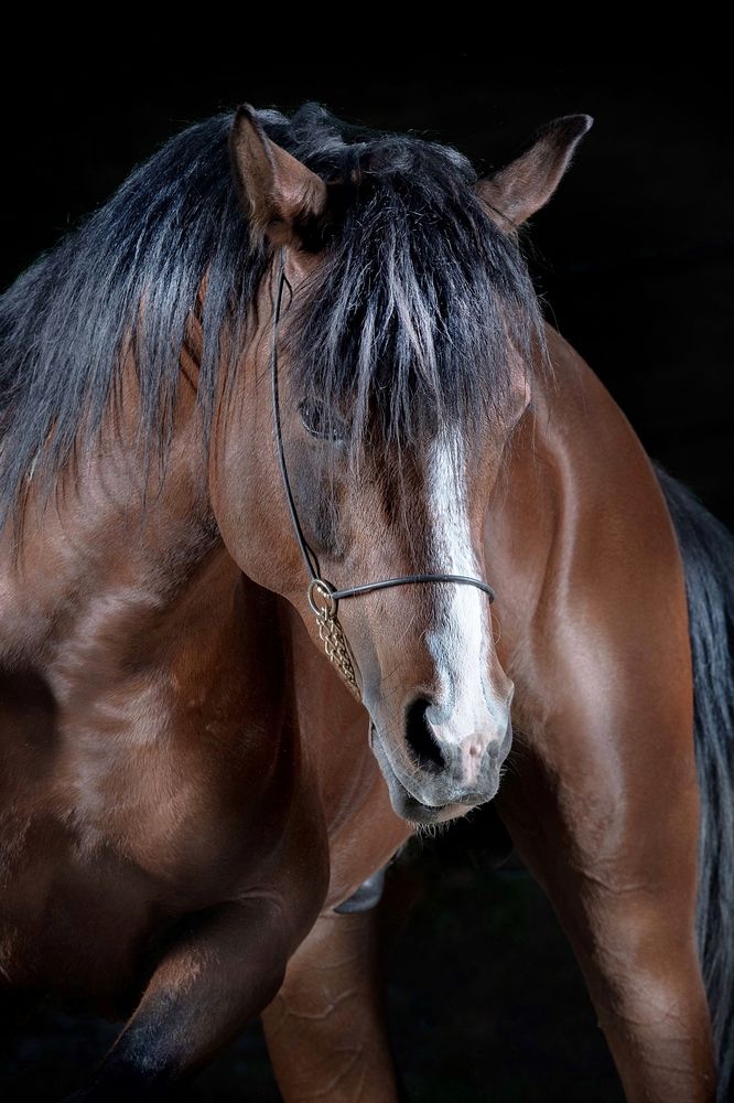 Фотография автора MARIA SHUTOVA