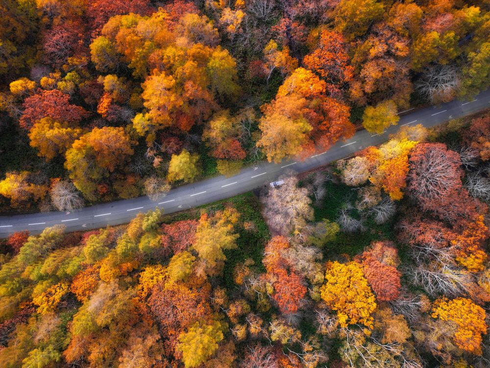 Фотография автора Luong Quyen