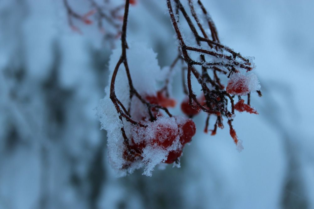 Photograph by Анастасия Бивалькевич
