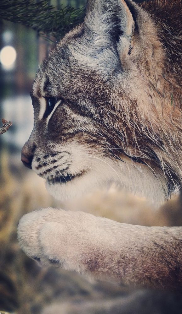 Photograph by Елена Кадаева