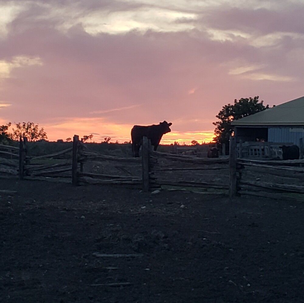 Photograph by Dennise Treijs