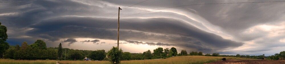 Photograph by Dennise Treijs