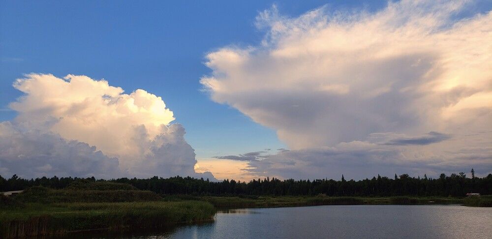 Photograph by Dennise Treijs