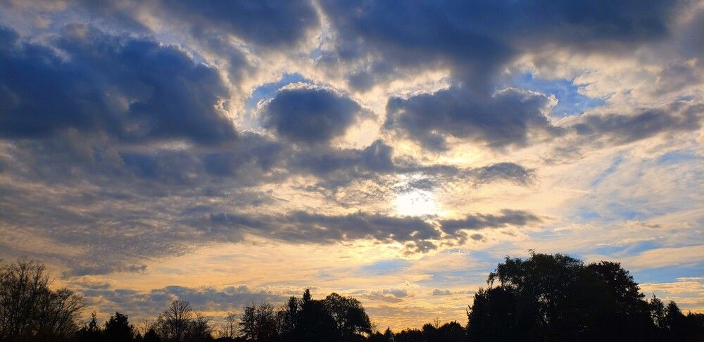 Photograph by Dennise Treijs