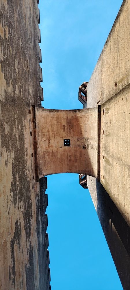 Mirada Acia el cielo