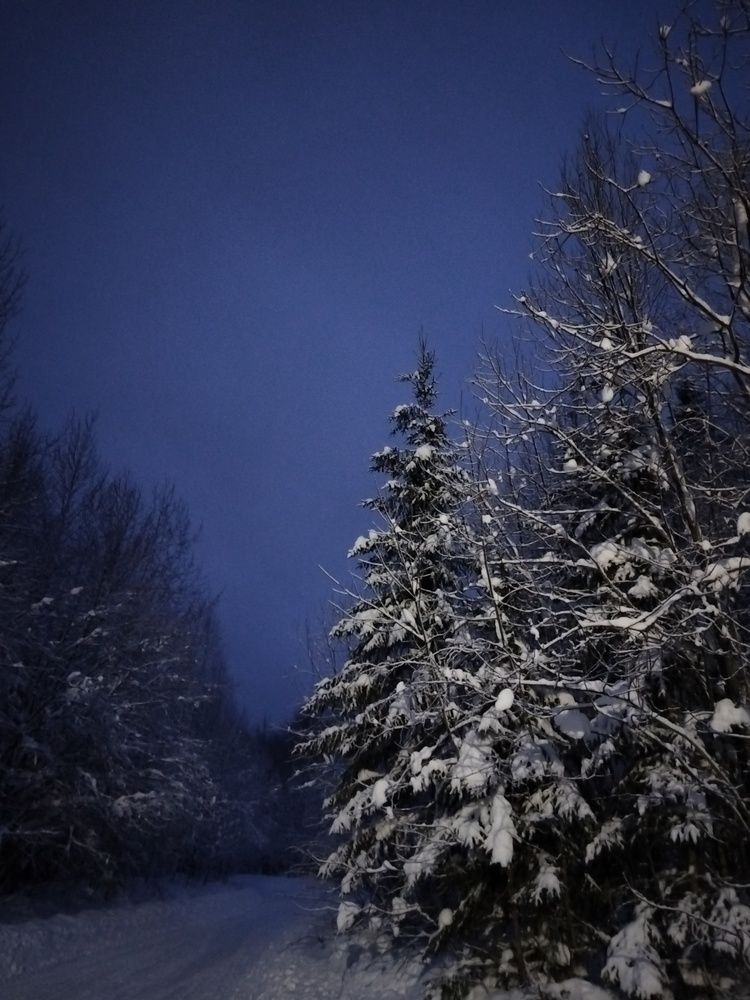 Photo #11947788