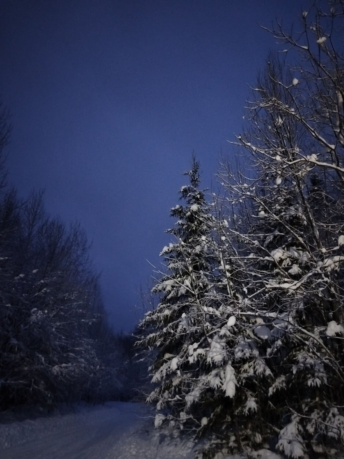 Photo #11947788
