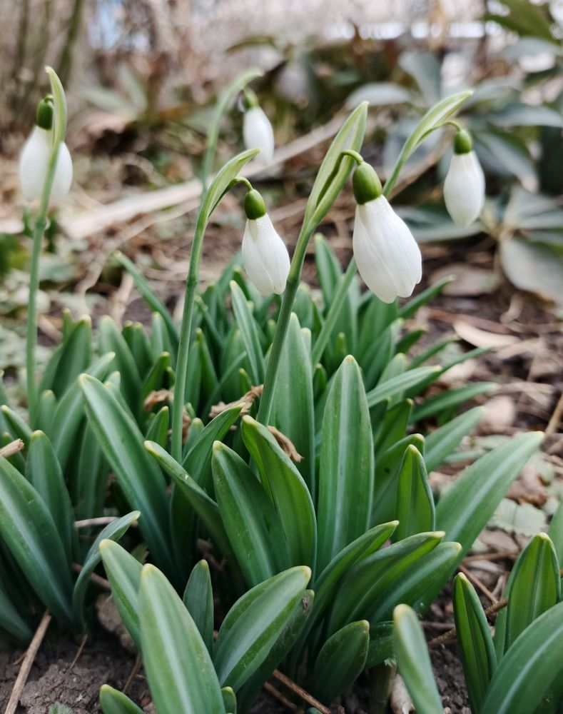 Photograph by Наталья Покрепина