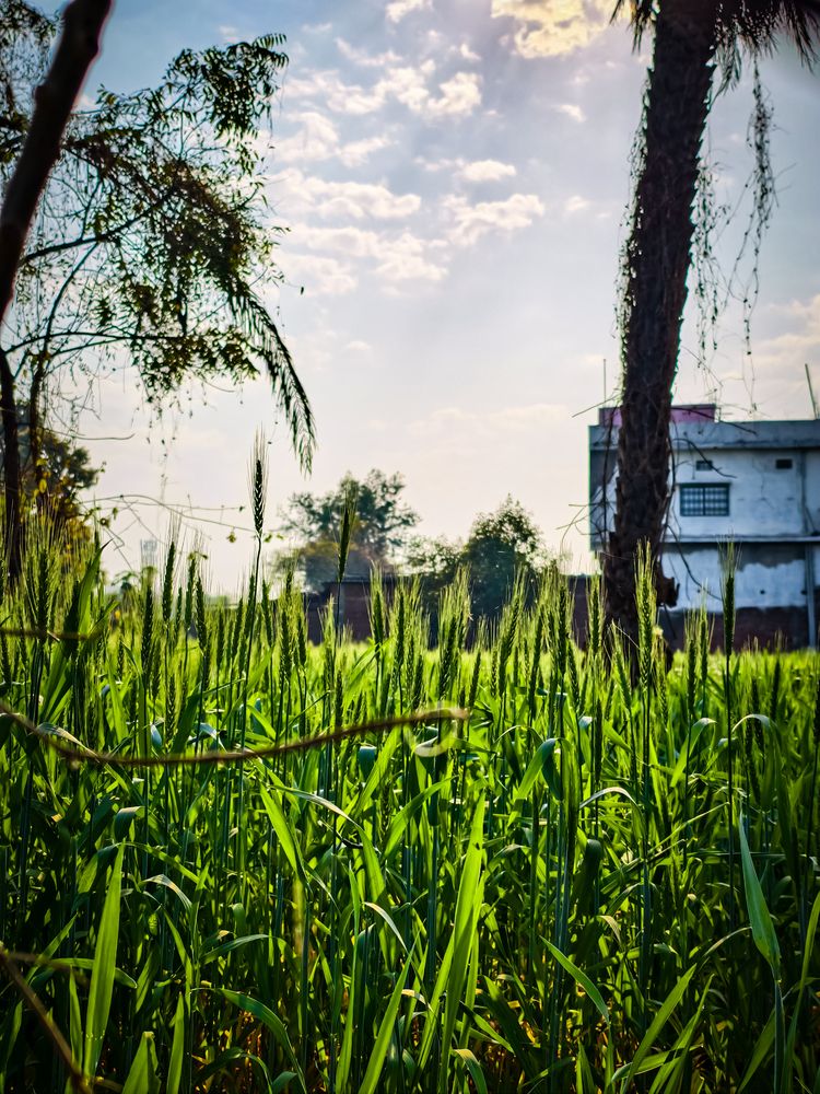 Photograph by Amit Sri