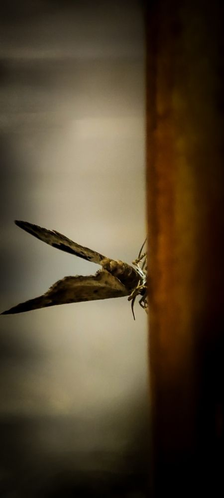 Фотография автора Оркина Ксения