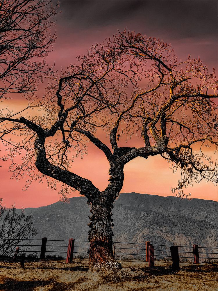 Photograph by Rakshit Sah