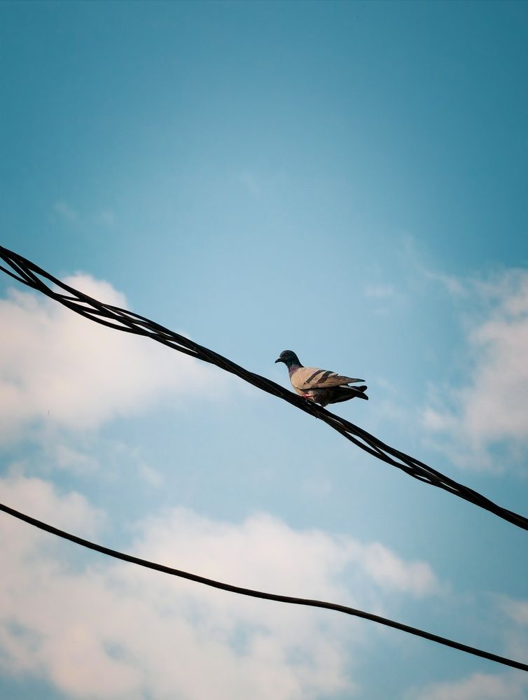 Photograph by Amit Sri