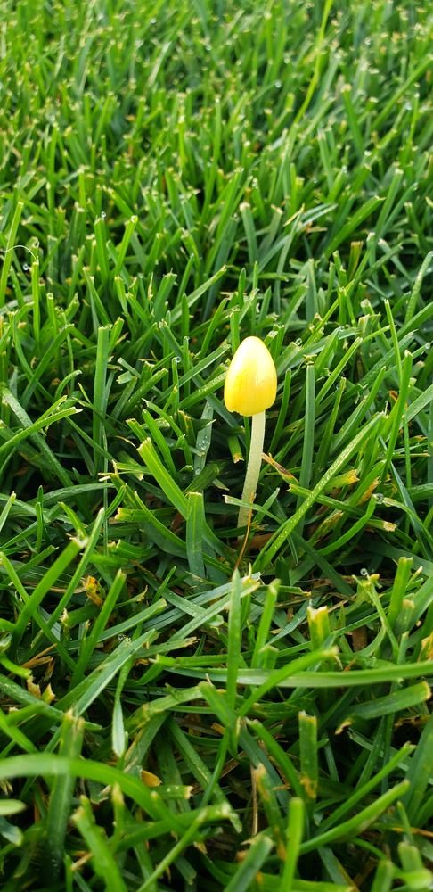 Photograph by Dennise Treijs