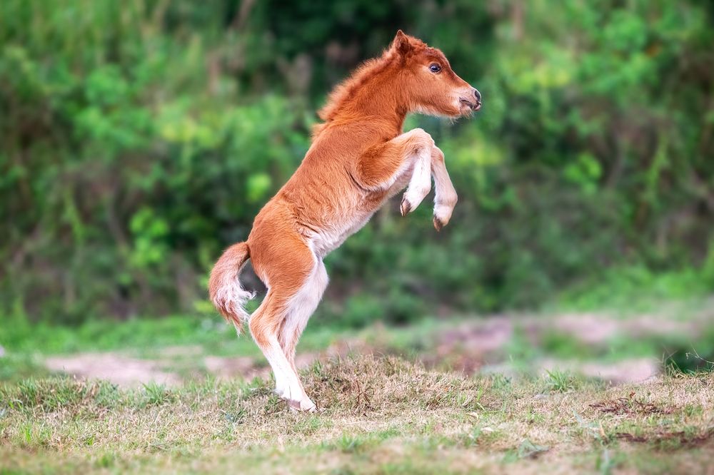Photograph by Короткевич Валерия
