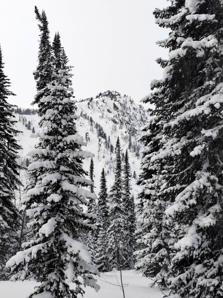 Photo #11947961