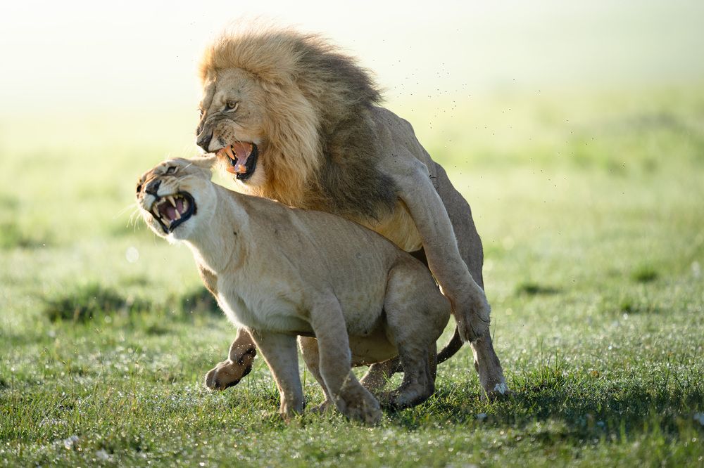 Фотография автора Karthik Subramaniam