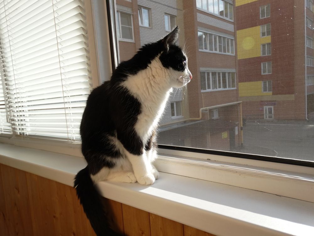 Photograph by Сергей Александрович