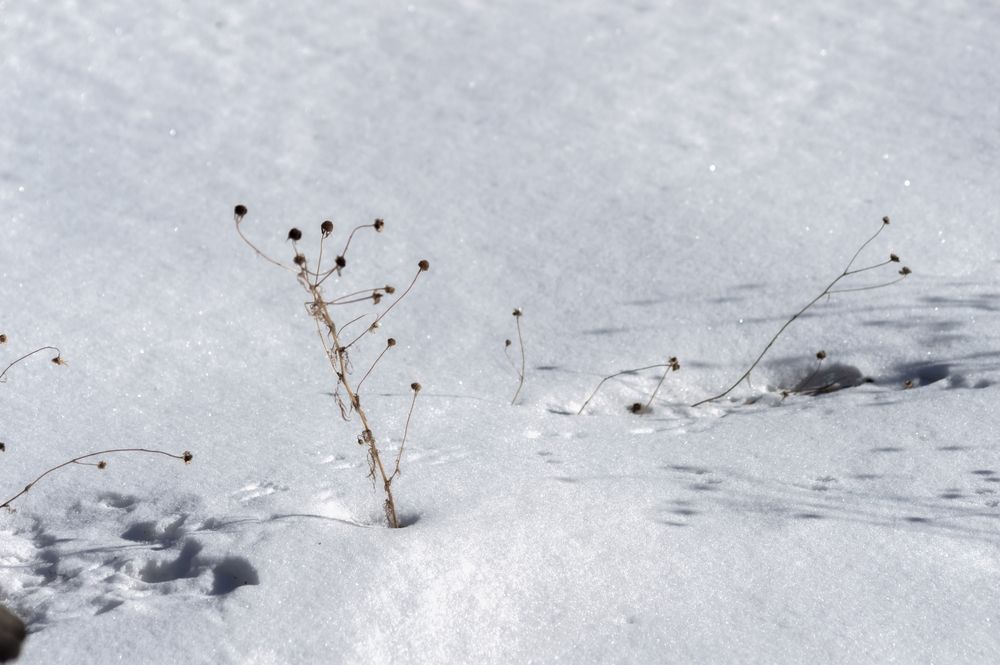 Photograph by Nadezhda