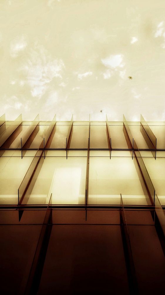 Photograph by حنان همام أحمد عبد الرحمن