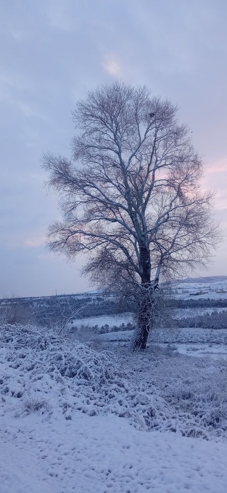 Фотография автора Hormat Alakbarova